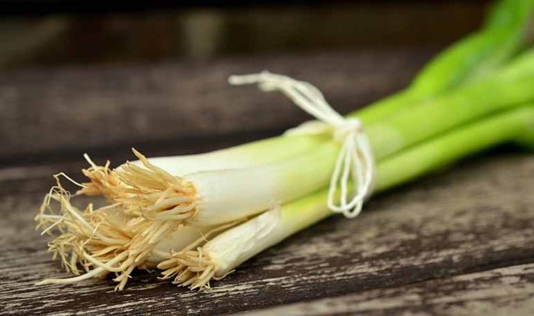 Descubre cómo darle brillo a tu cabello utilizando hojas de puerro
