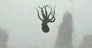 La 'apocalíptica' tormenta de pulpos, langostas y estrellas de mar que afecta a China