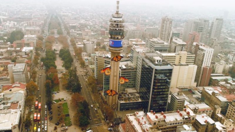 Conoce las novedades del "Festival Hecho en Casa"