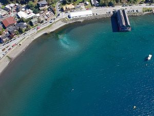 Millonaria multa deberá pagar empresa sanitaria, tras reiteradas descargas de aguas servidas (sin tratamiento) en el Lago Llanquihue