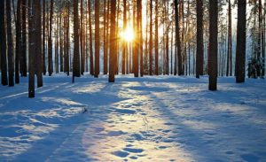 Solsticio de invierno: ¡Hoy es la noche más larga del año!