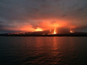 Impresionantes imágenes deja la erupción del volcán Sierra Negra en Galápagos