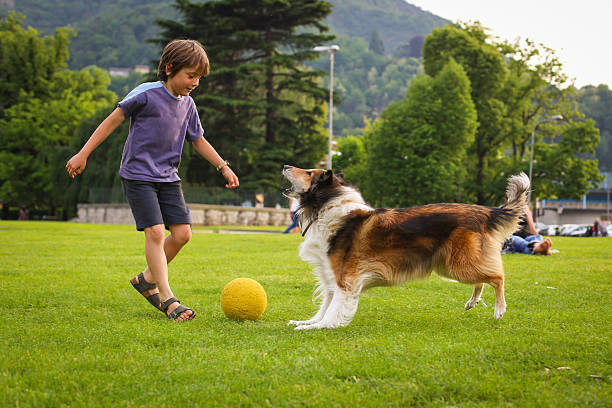 Ternura máxima: Un niño y un perro juegan a tirarse la pelota aun que estén separados por una cerca