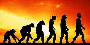 Estudio revela impactante dato sobre nuestros antepasados