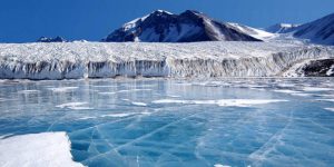 Biólogo es formalizado por violación en la Antártica a ciudadana francesa