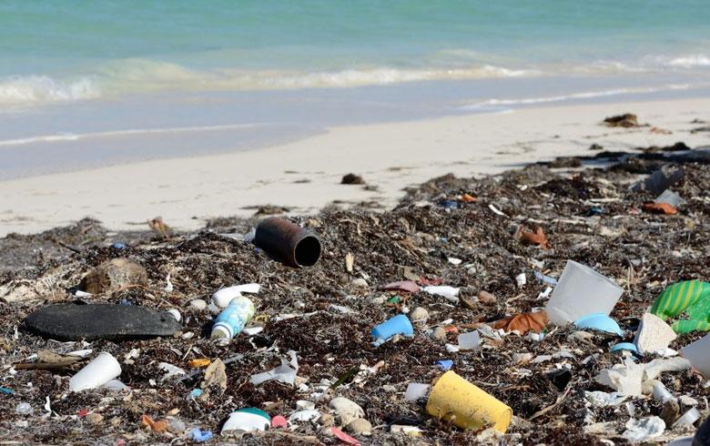 ¡Impactante! Video muestra las playas llenas de basura en Santo Domingo