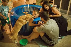 La tierna historia de un perro que acompañó a su ama durante el parto