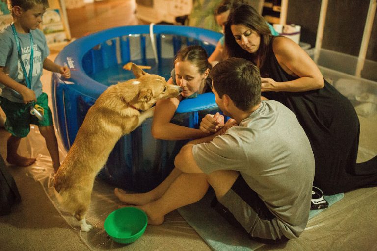 La tierna historia de un perro que acompañó a su ama durante el parto