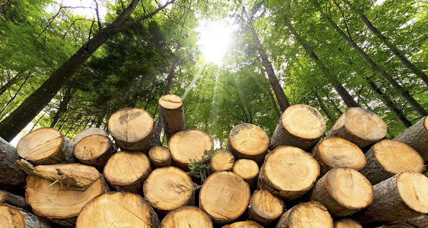 Este miércoles se agotarán todos los recursos renovables del 2018