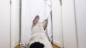 Este es el nuevo reto viral que se ha tomado las redes sociales