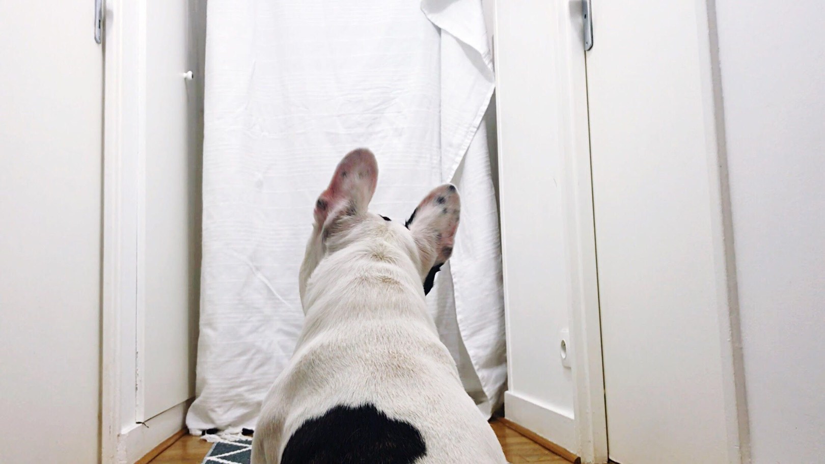 Este es el nuevo reto viral que se ha tomado las redes sociales