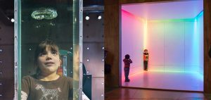 Conoce las novedades que trae el MIM para estas vacaciones