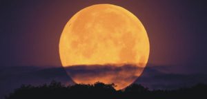 Luna Llena en Leo: Conoce los rituales para aprovechar su energía