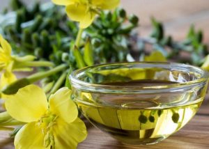 10 beneficios del aceite de onagra que te encantará conocer