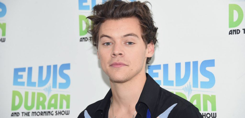 ¡Atentas fanáticas de "One Direction"! Harry Styles está soltero