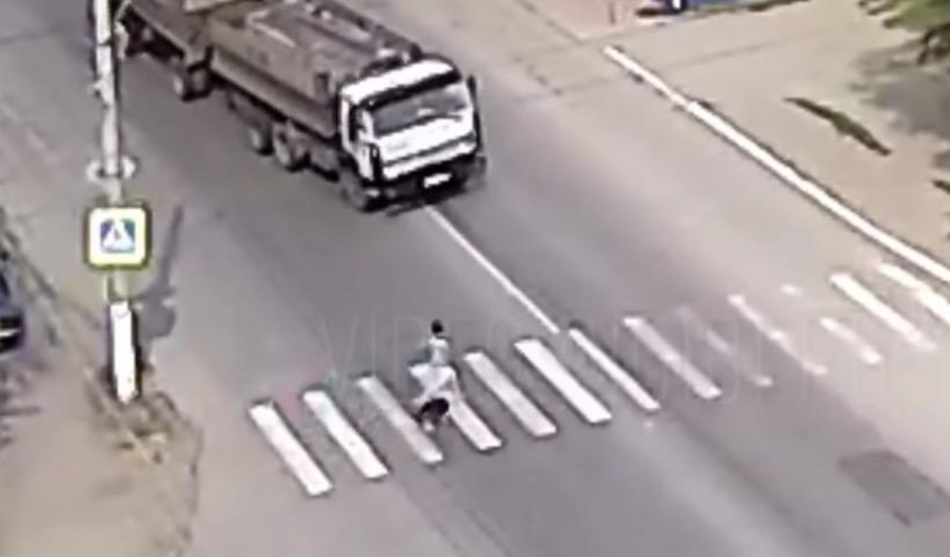 Todo un héroe: Perro salva a su dueña de morir atropellada por un camión