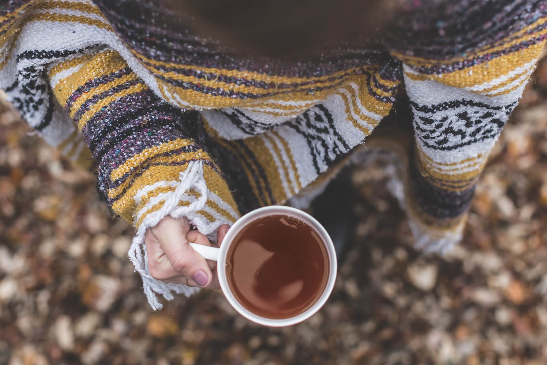 ¡Qué rico! Té y hierbas ideales para pasar este invierno
