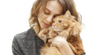 Estudio revela por qué las mujeres solteras aman a los gatos
