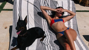 Perro de Kendall Jenner atacó a una niña y la celebridad se dio a la fuga