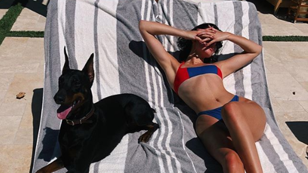 Perro de Kendall Jenner atacó a una niña y la celebridad se dio a la fuga