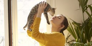 ¿Gatos como mascota? Estos son los beneficios de tenerlos en tu casa