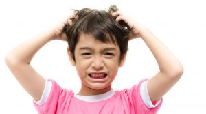 ¿Tus hijos con piojos? Estos son los 3 remedios infalibles para combatirlos