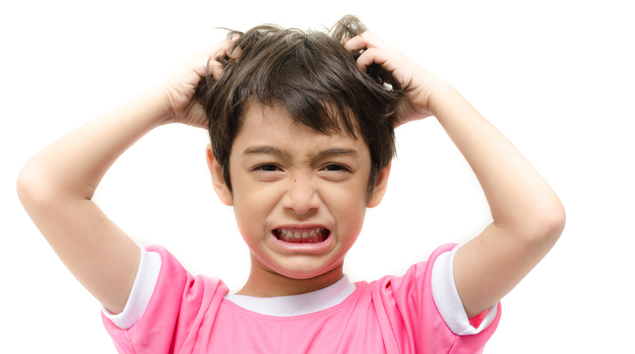 ¿Tus hijos con piojos? Estos son los 3 remedios infalibles para combatirlos