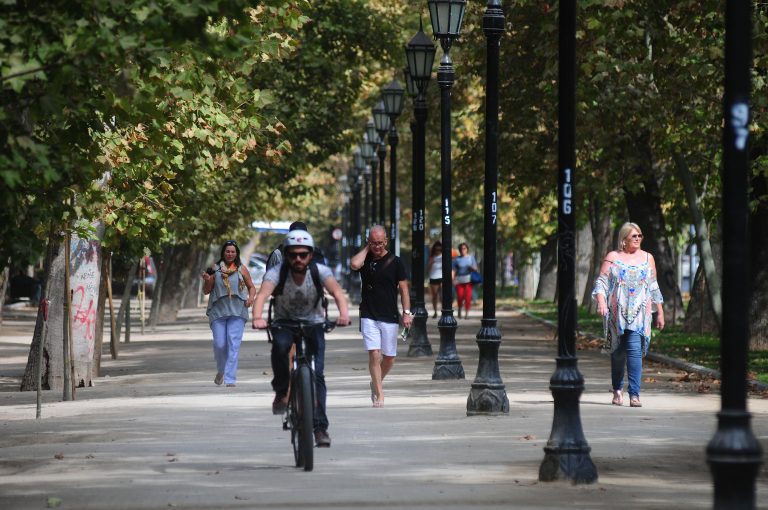 "Ley Arbolito": Gobierno busca prohibir plantación de plátanos orientales en la ciudad