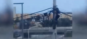 Hombre subió al tendido para robar cables en Antofagasta