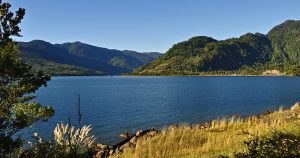 ¡Celebra el Día del Medioambiente! Estos son los parques que tendrán acceso gratuito