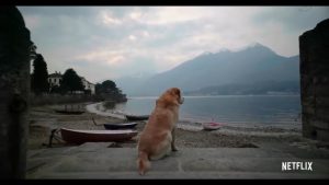 Netflix estrenará serie documental sobre perros y promete emocionarte