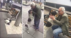 Mira el emotivo encuentro de un hombre y su perro perdido después de tres años