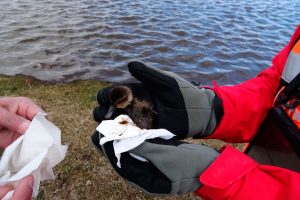 Gran derrame de petróleo en Tierra del Fuego tiene alerta a autoridades locales