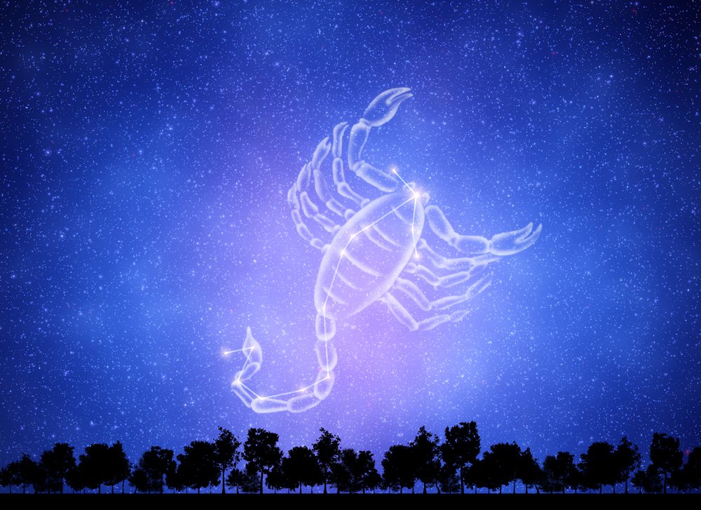 Especial signo del mes en #LosMensajesDeCupido: Escorpión