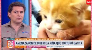 Sebastian Jimenez por niña que torturó a gatita Emma: "Hay que protegerla"