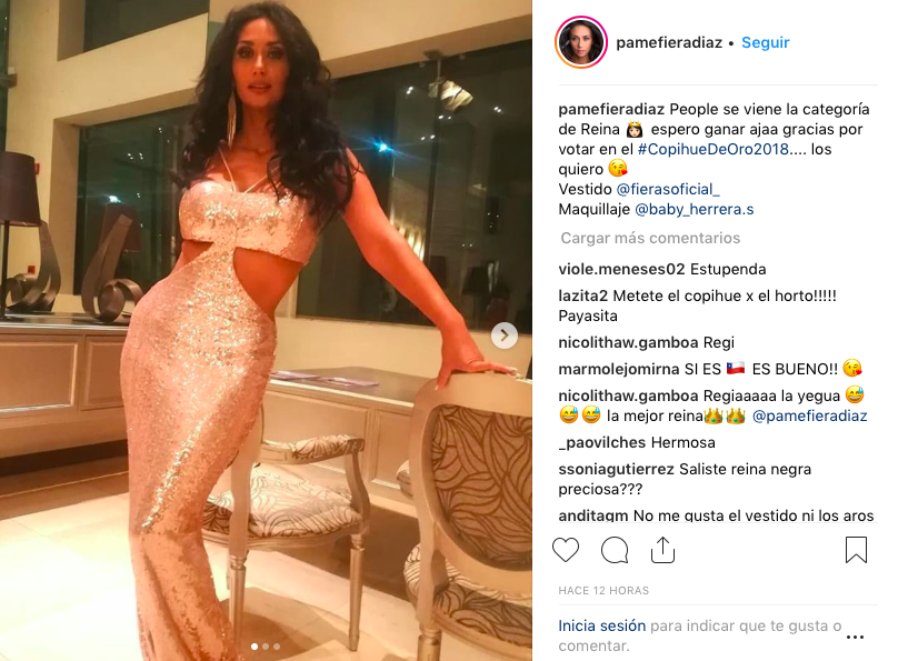 Pamela Díaz, Copihue de Oro