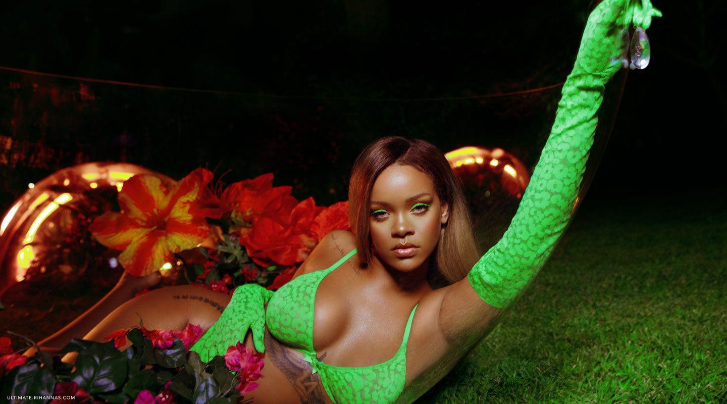 Chris Brown comenta sensual foto de Rihanna y sus fans lo amenazan