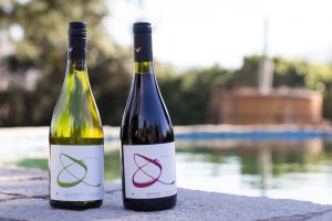 Lista completa de ganadores de vino viña William Fevre: ¡Salud!