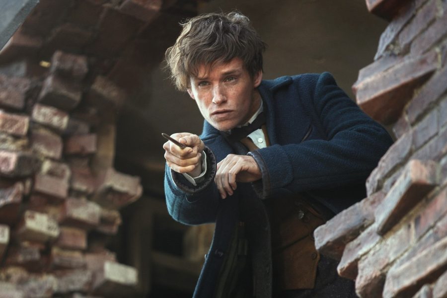 Por qué necesitábamos a Newt Scamander