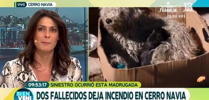 La cortaron: Periodista de "Bienvenidos" explota en llanto al hacer un despacho sobre incendio en Cerro Navia