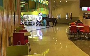 ¿Qué? Caballo ingresa a local de Happyland en el Mall Arauco Coronel
