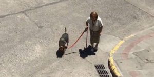 Tierno paseo de un perro con su dueña se hace viral al demostrar su lealtad