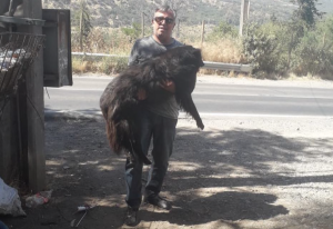 Iván Torres cuenta cómo es que encontró a Laisy, su perrita perdida