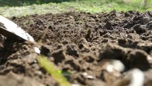 Científicos aseguran que una cucharada diaria de tierra ayuda a adelgazar