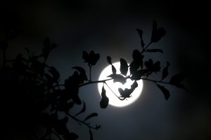 Horóscopo semanal: extraños acontecimientos con Luna Azul de Halloween