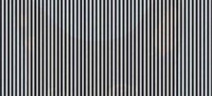 #DesafíoFMDOS ¿Qué ves en esta imagen? La ilusión que arrasa en redes sociales