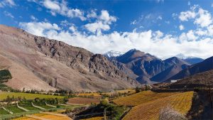 ¡The New York Times incluye al Valle del Elqui dentro de los lugares que hay que ir en 2019!