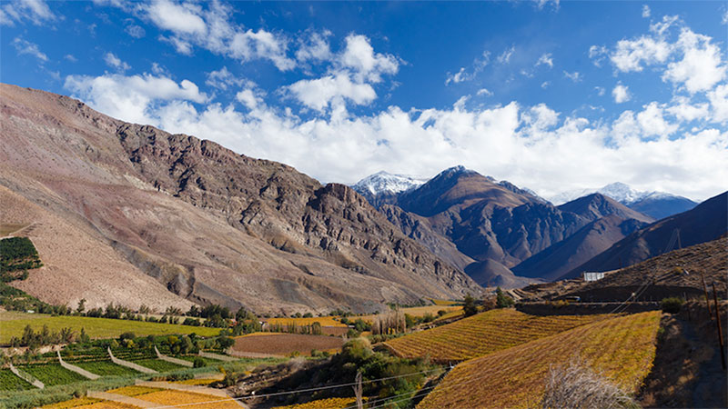 ¡The New York Times incluye al Valle del Elqui dentro de los lugares que hay que ir en 2019!