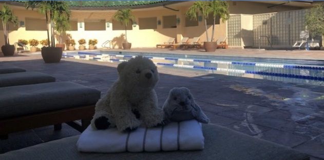 El tierno gesto de los empleados de un hotel con niño que olvidó su peluche