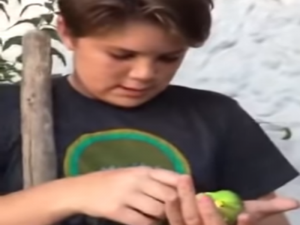 Perro arruina funeral de mascota y se convierte en el primer video viral del año